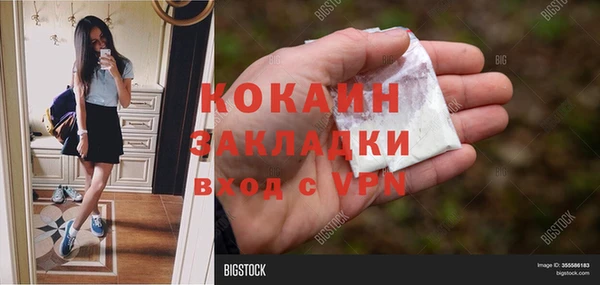 соль ск Верхний Тагил