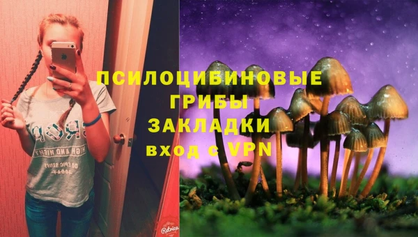 прущая мука Верея