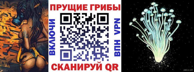 Псилоцибиновые грибы Psilocybine cubensis дарнет шоп Вольск